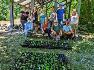 A group of volunteers standing in rows behind a number of trays of seedling flats on the ground.