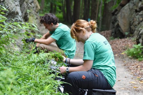Profile of two volunteers sitting and working with plants along a hillside